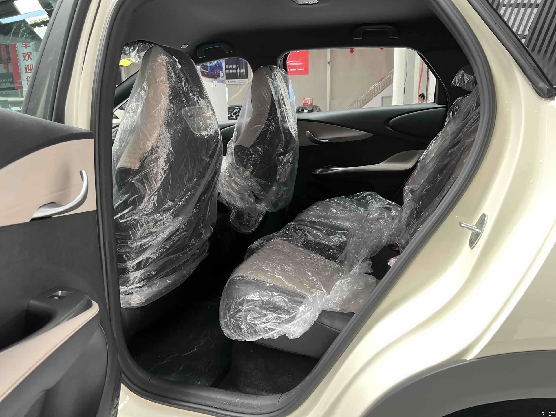 BYD Dolphin, 2026 10