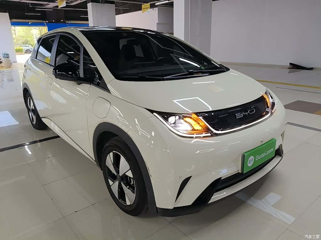 BYD Dolphin, 2024 4