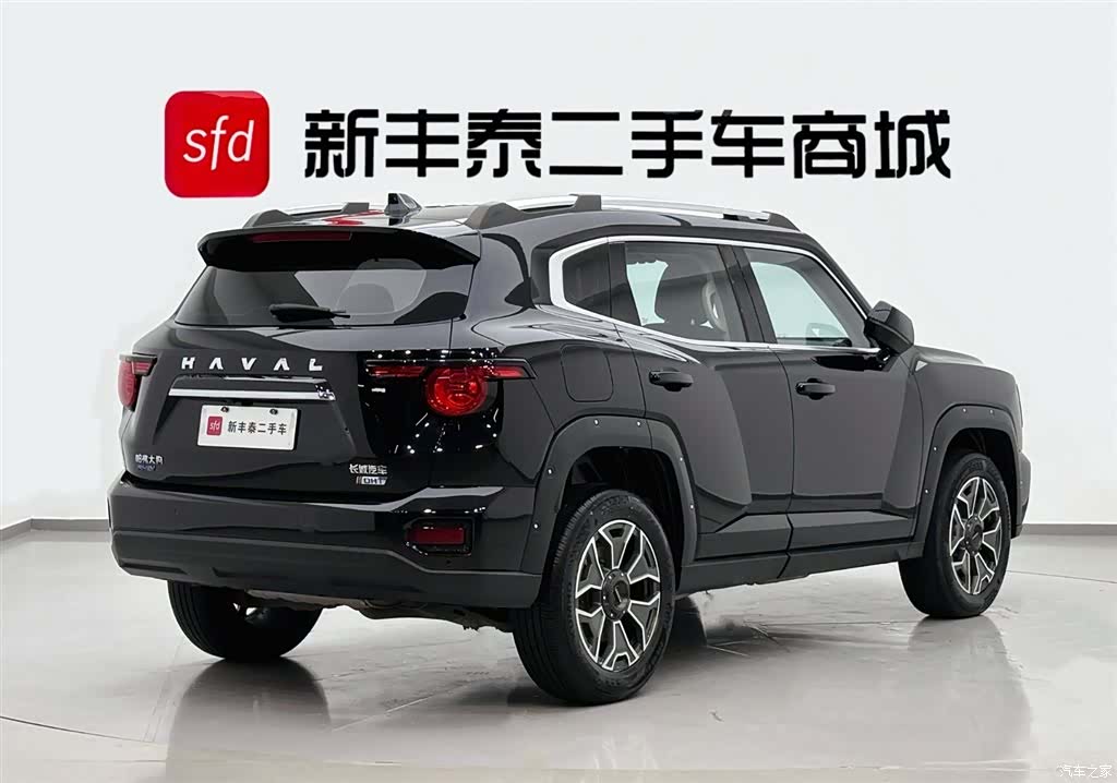 Haval Big Dog, 2023 все фото