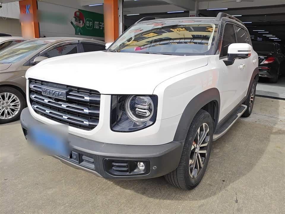 Haval Big dog