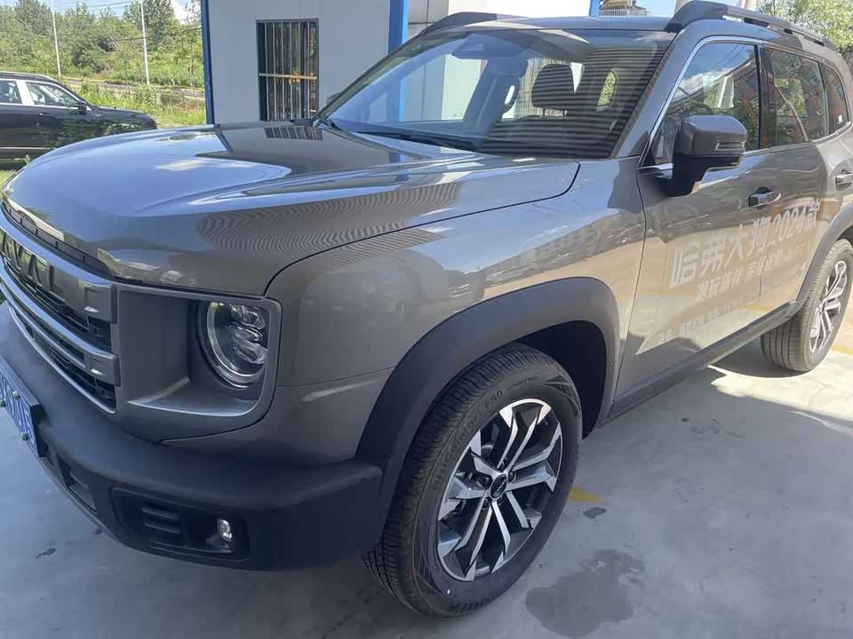 Haval Big dog