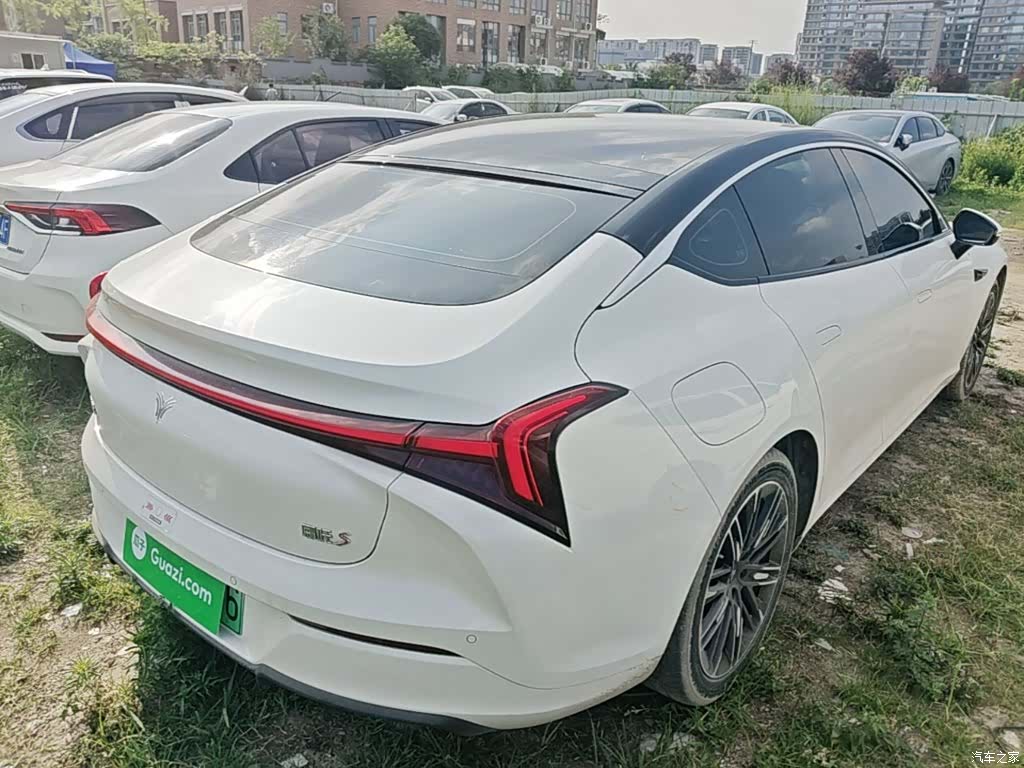 Neta S, 2023 7