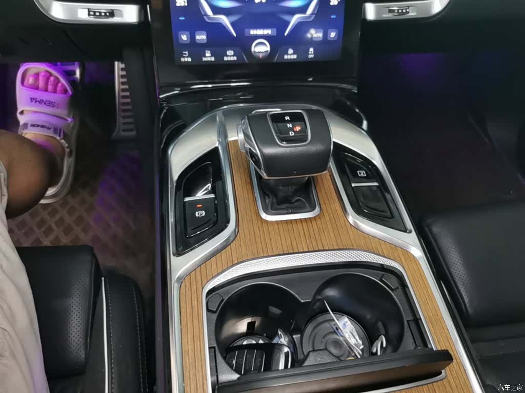 Hongqi E-HS9, 2023 14