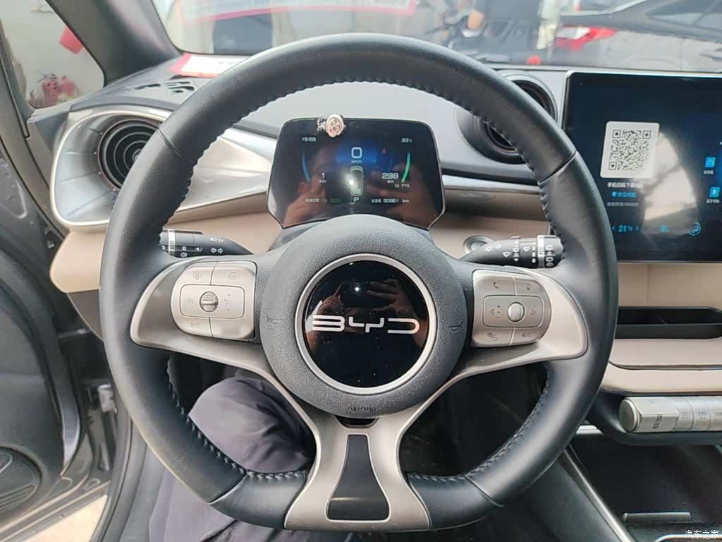 BYD Dolphin, 2023 11