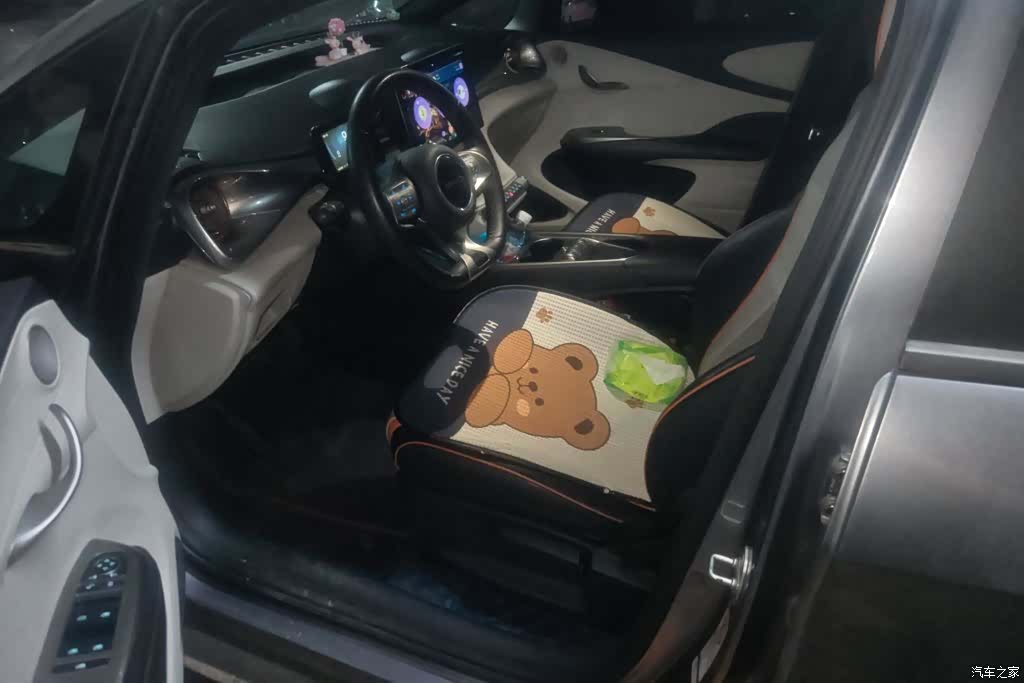BYD Dolphin, 2022 9