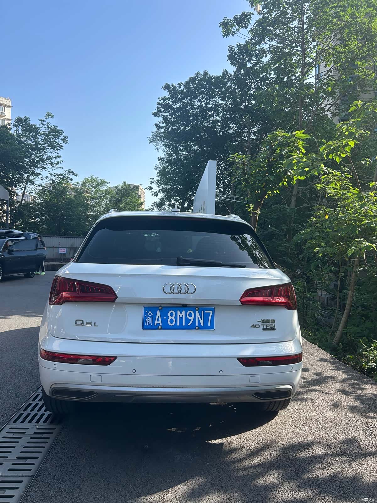 Audi Q5L, 2021 все фото