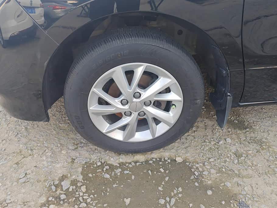 Forthing Lingzhi PLUS