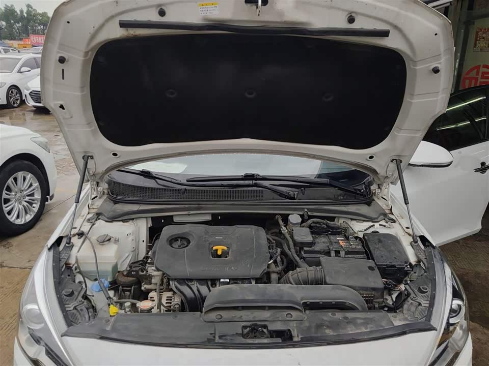 Hyundai Name picture