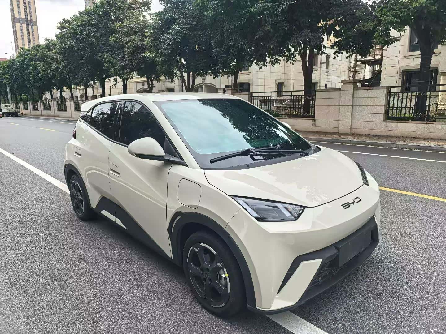 BYD Seagull, 2023 3