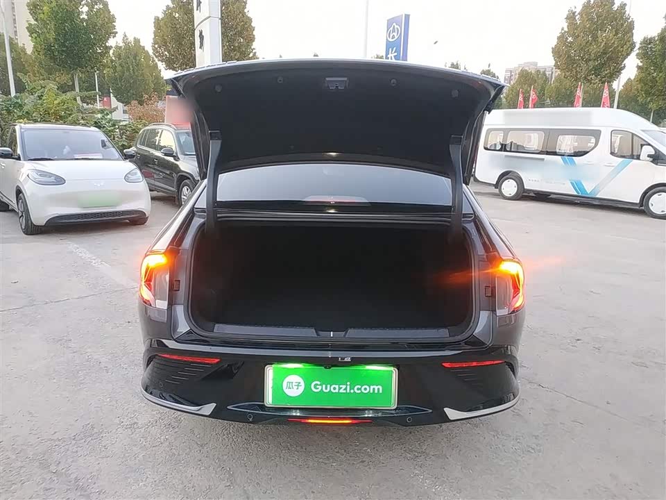 Wuling Wuling Starlight