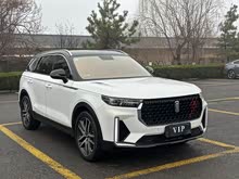 ����T99 2020�� 20TD �Զ��˶������