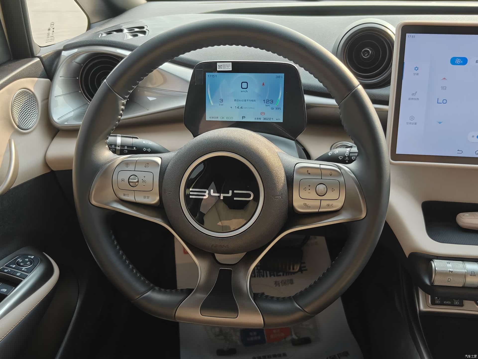 BYD Dolphin, 2024 8