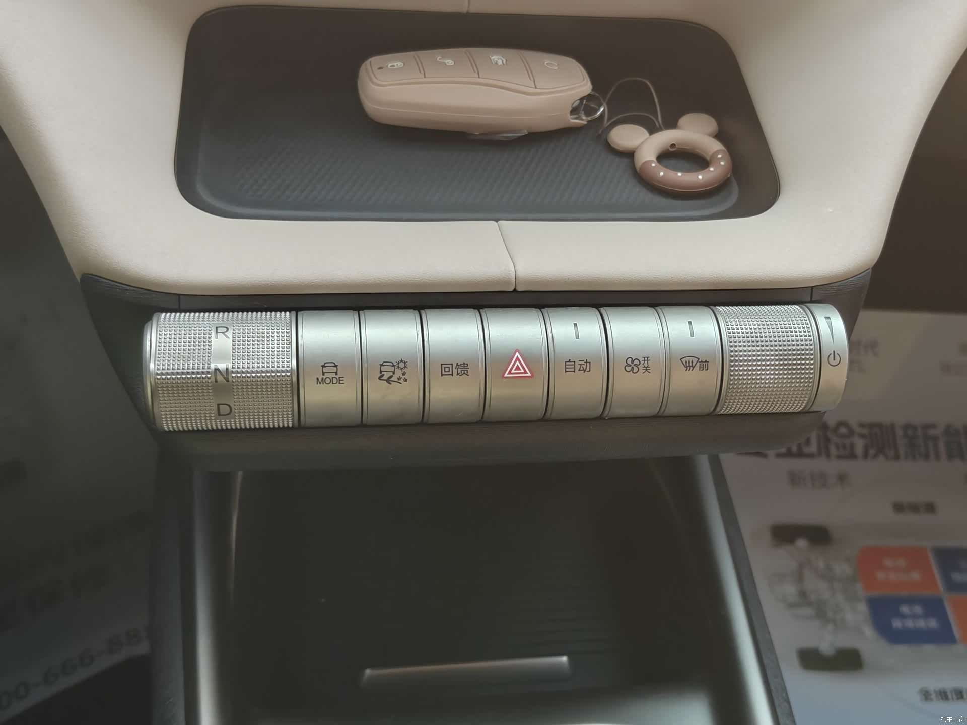 BYD Dolphin, 2024 12