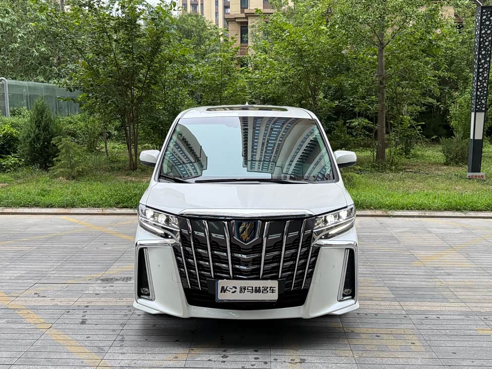Toyota Elfa