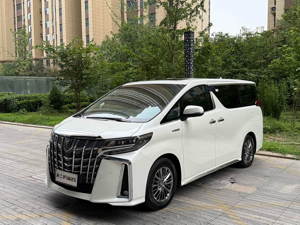 Toyota Elfa