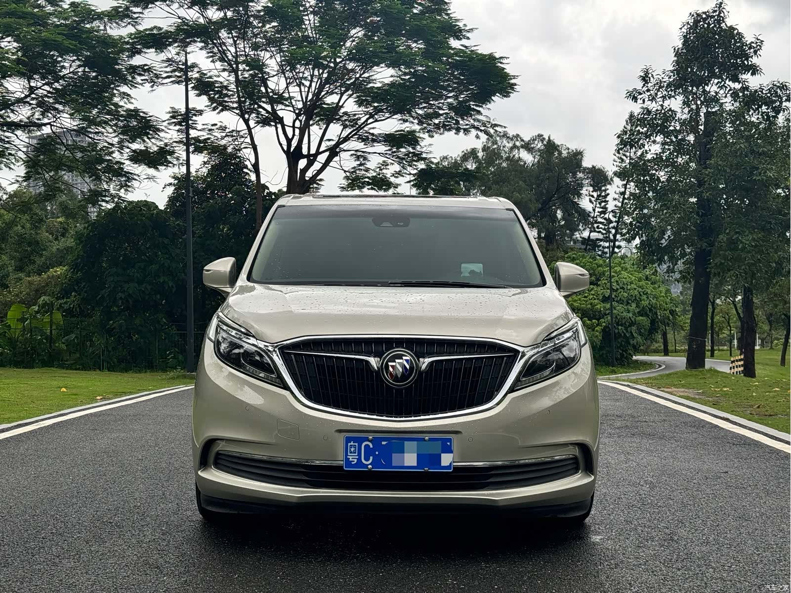 Buick GL8, 2017 2