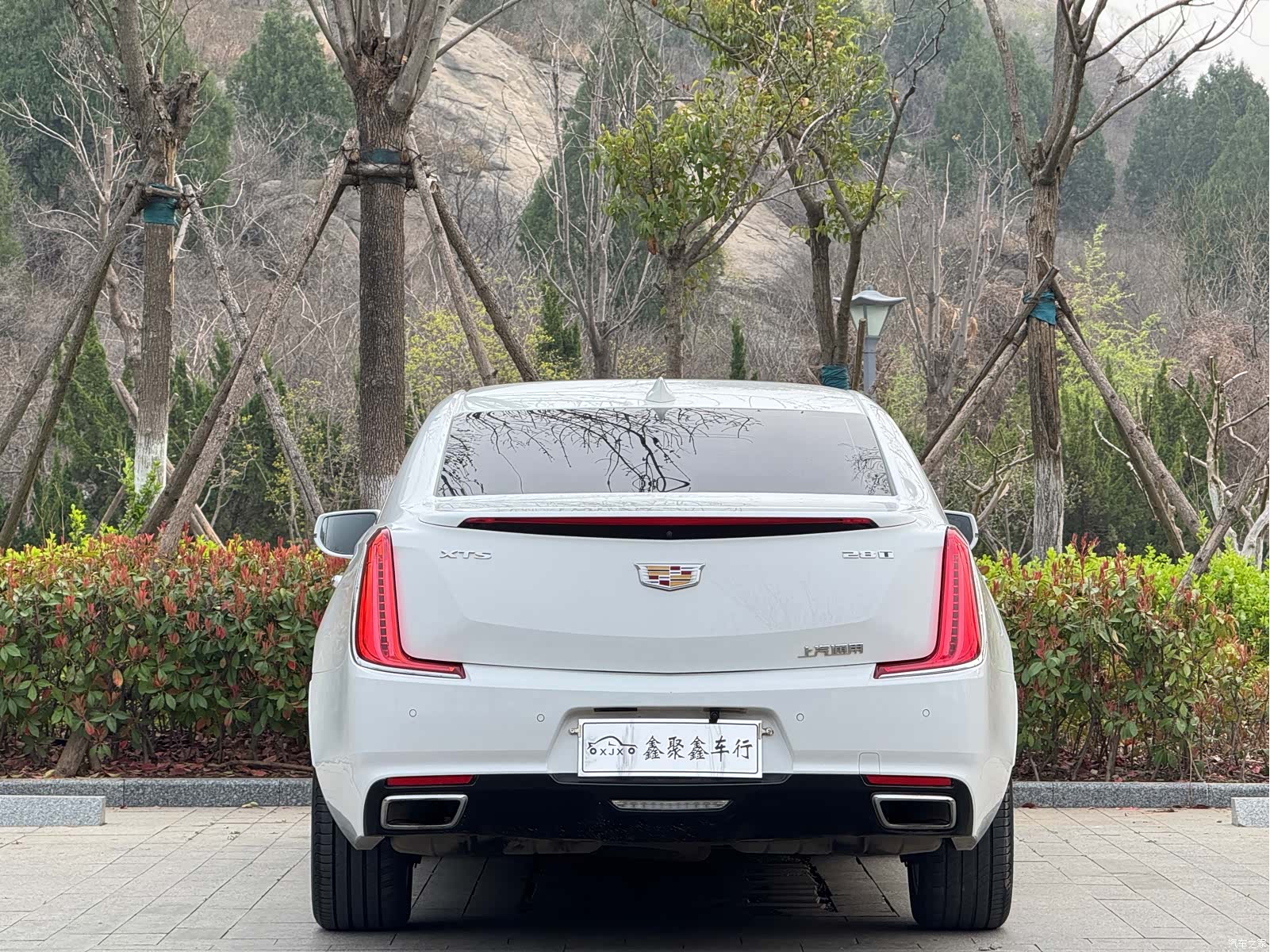 Cadillac XTS, 2019 8