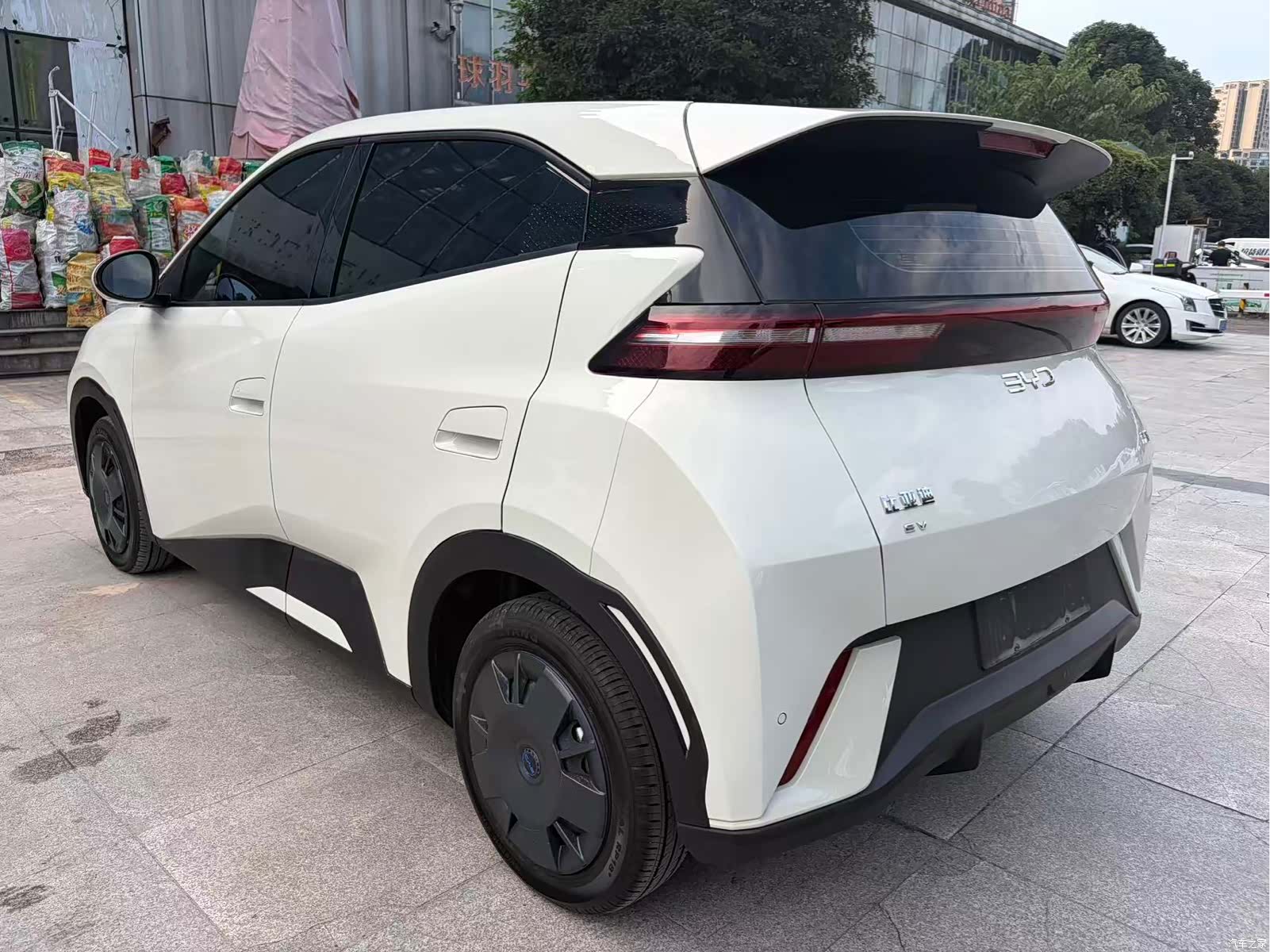 BYD Seagull, 2024 9