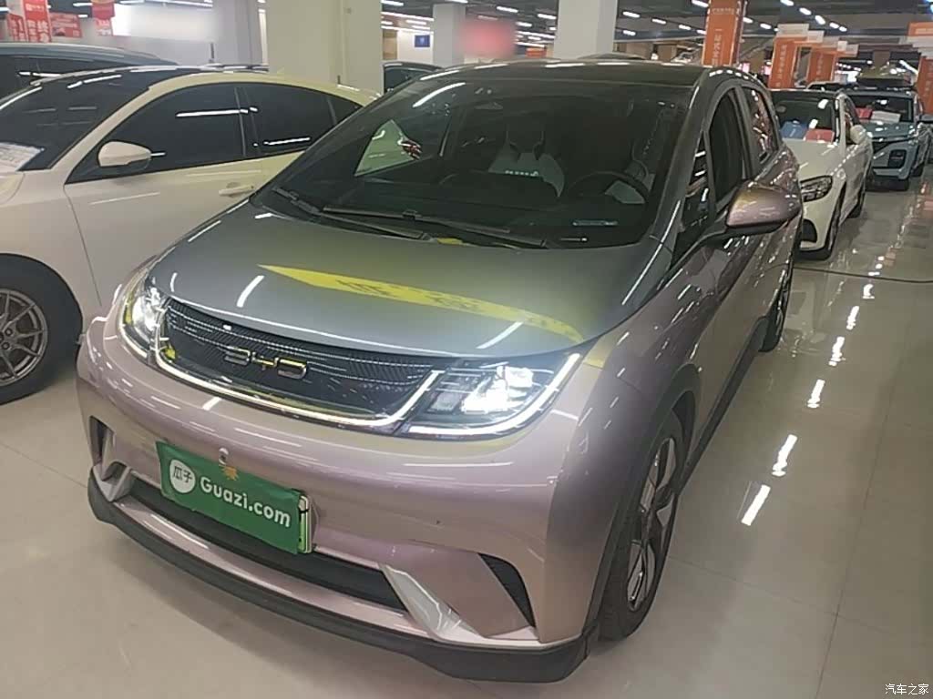 BYD Dolphin, 2022 2
