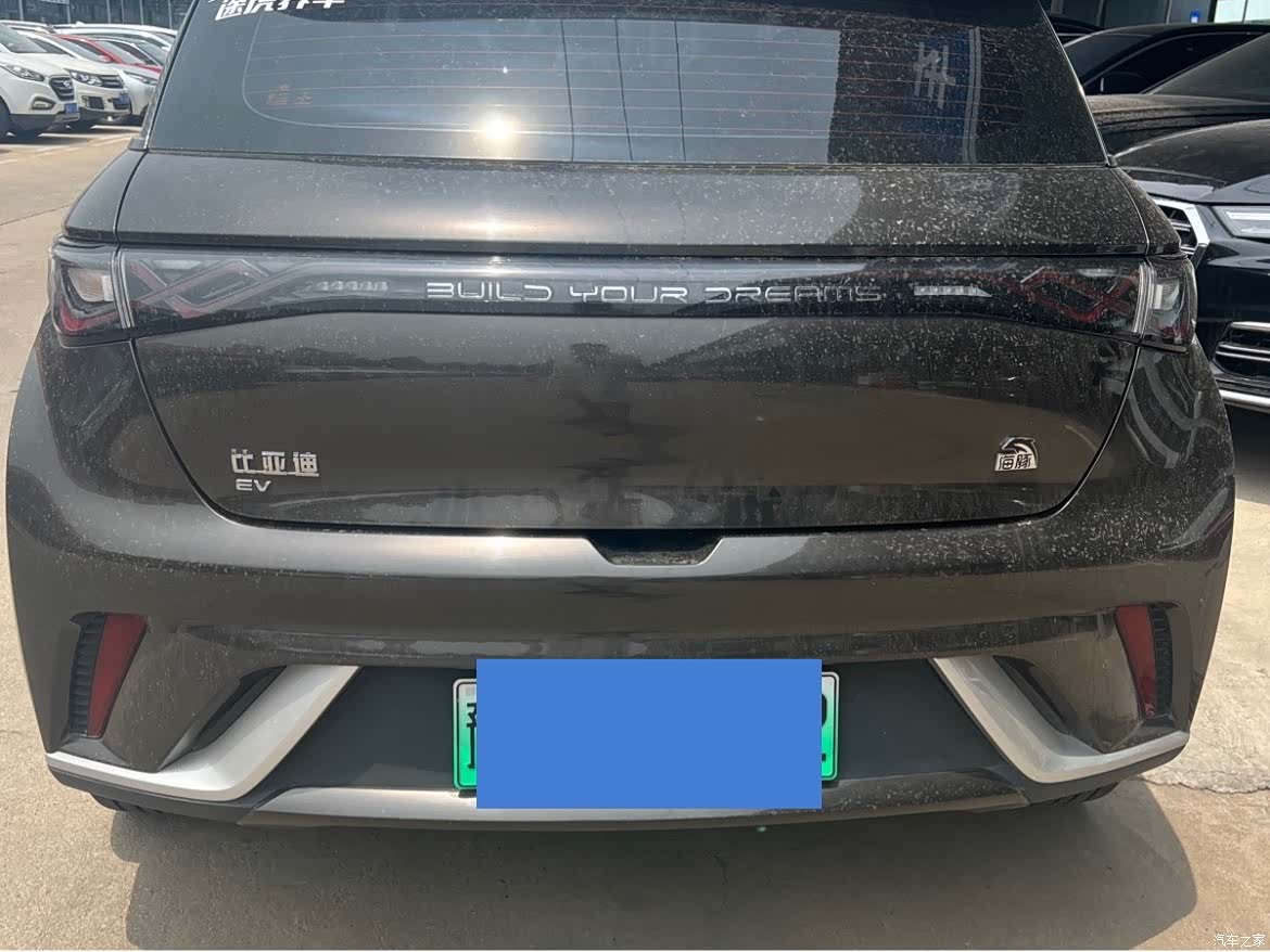 BYD Dolphin, 2022 7
