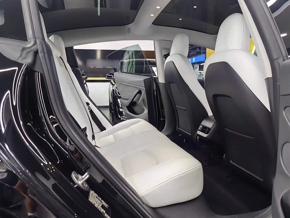 Tesla Model 3 Tesla Model 3