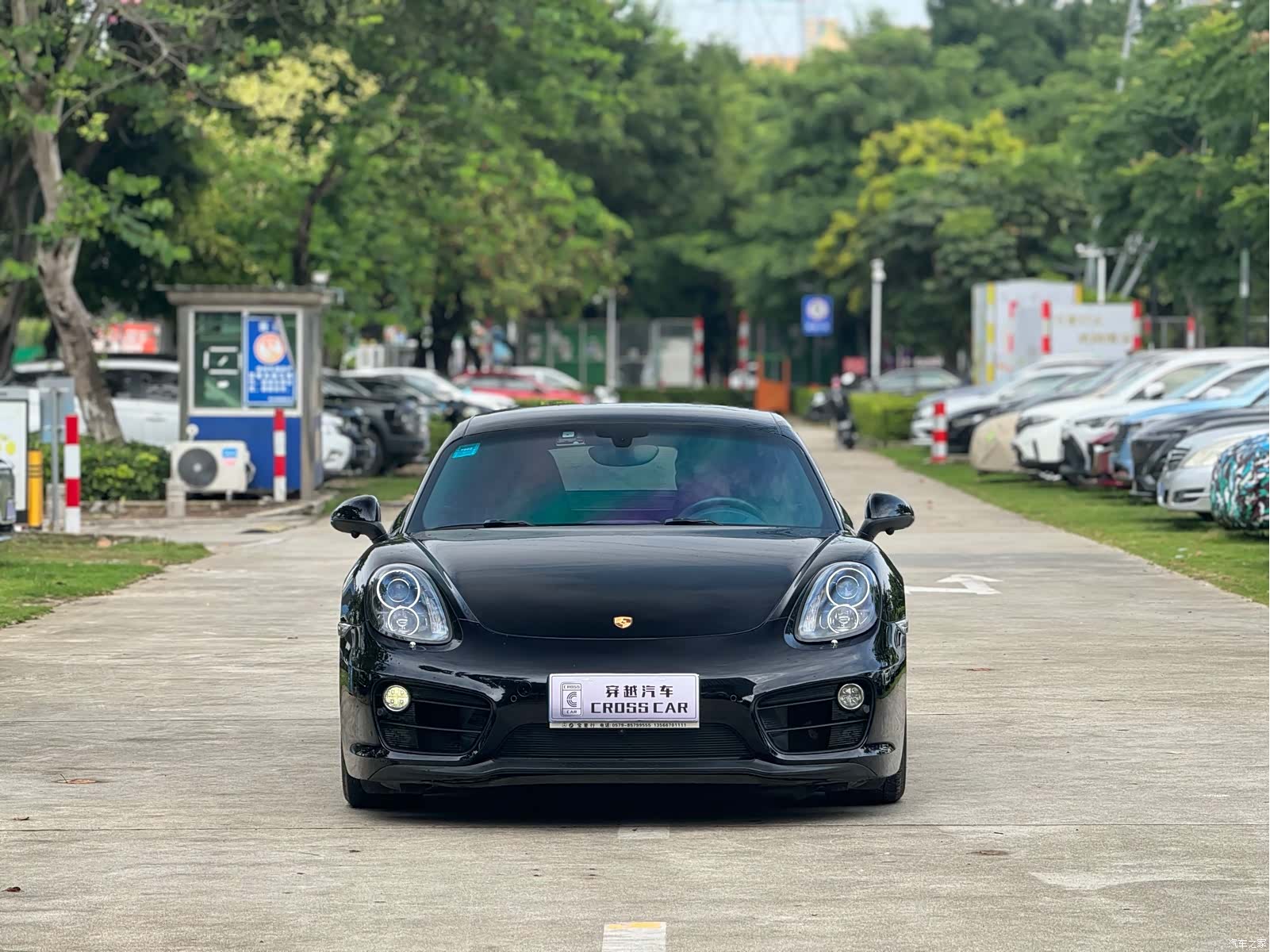 Porsche Cayman, 2016 2