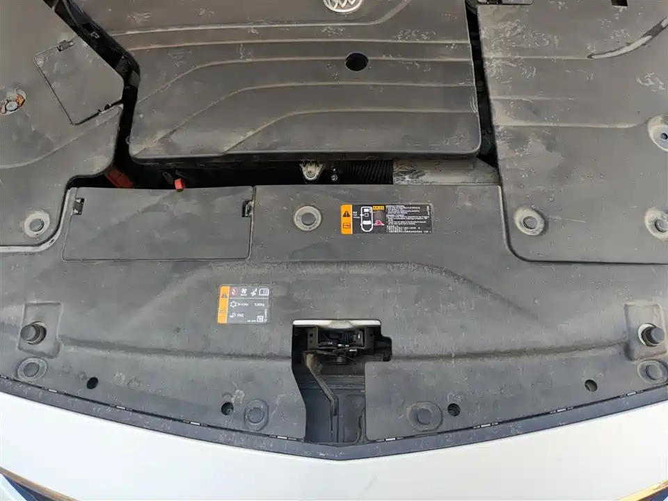 Buick Slightly blue 6