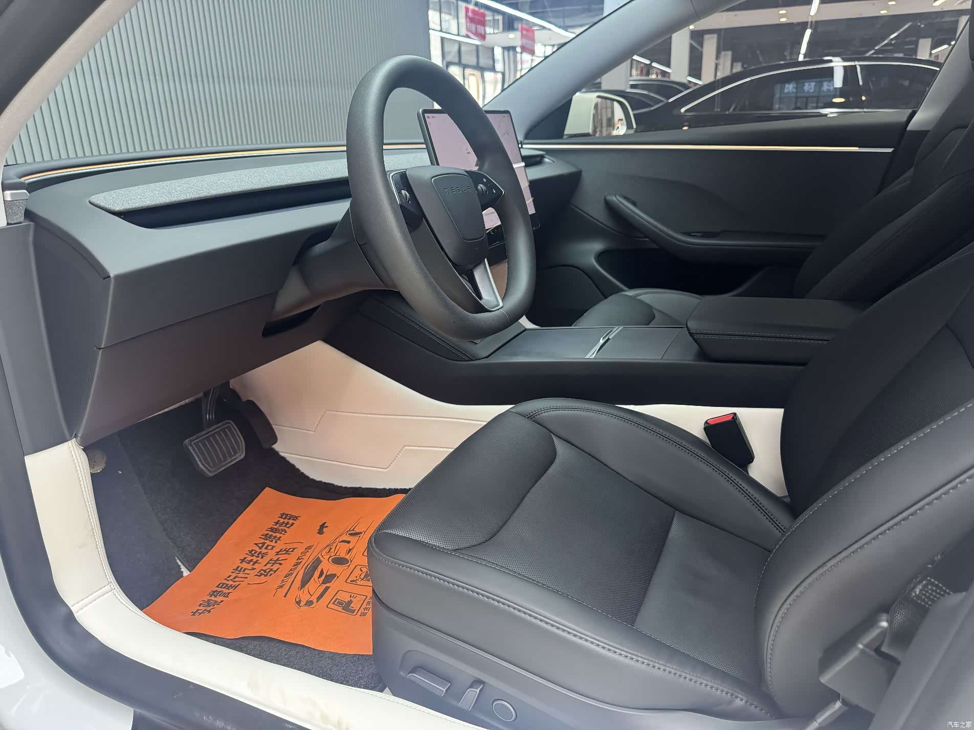 Tesla Model 3, 2024 10