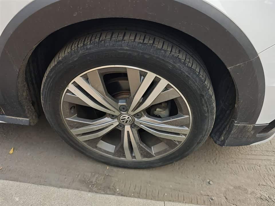 Volkswagen C-TREK Wei Collar