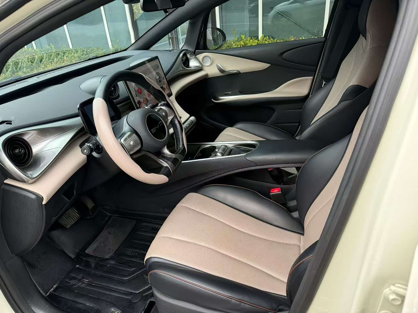BYD Dolphin, 2023 4