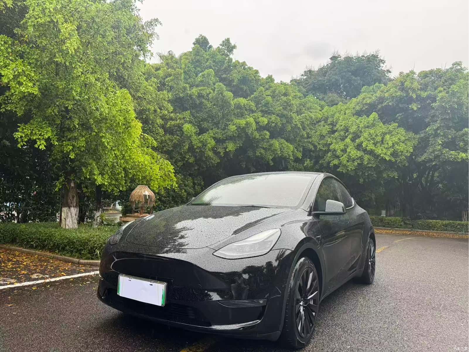 Tesla Model Y, 2021 1