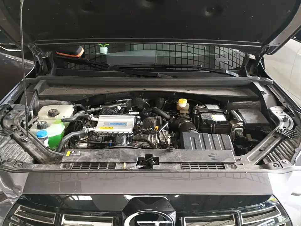 Trumpchi Trumpchi GS4