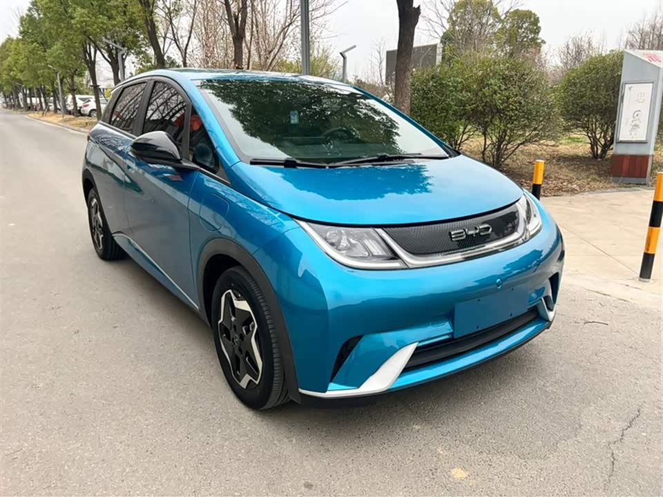 BYD dolphin
