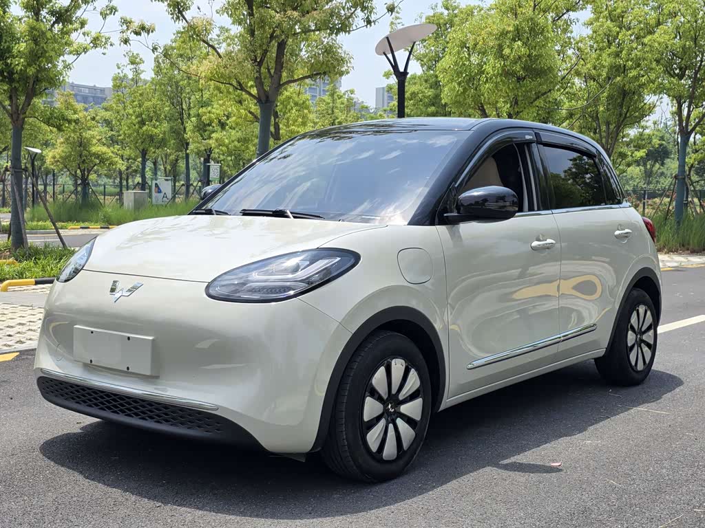 Wuling Binguo