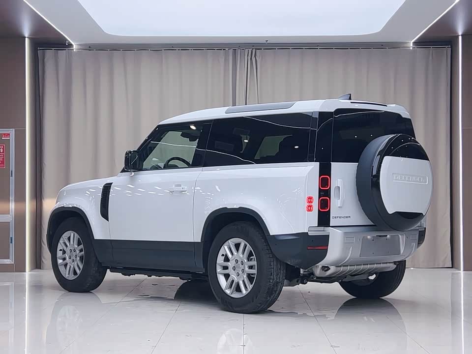 Land Rover guard