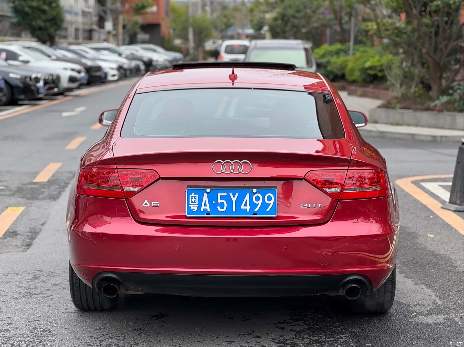 Audi A5, 2011 все фото