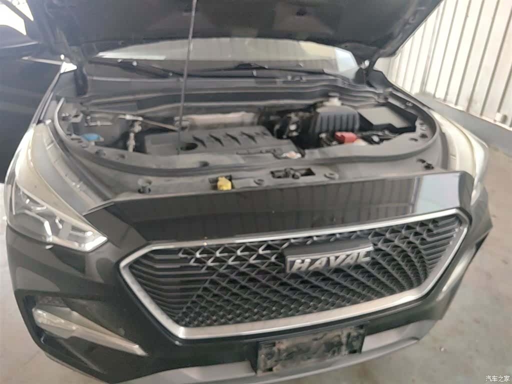Haval M6, 2019 20