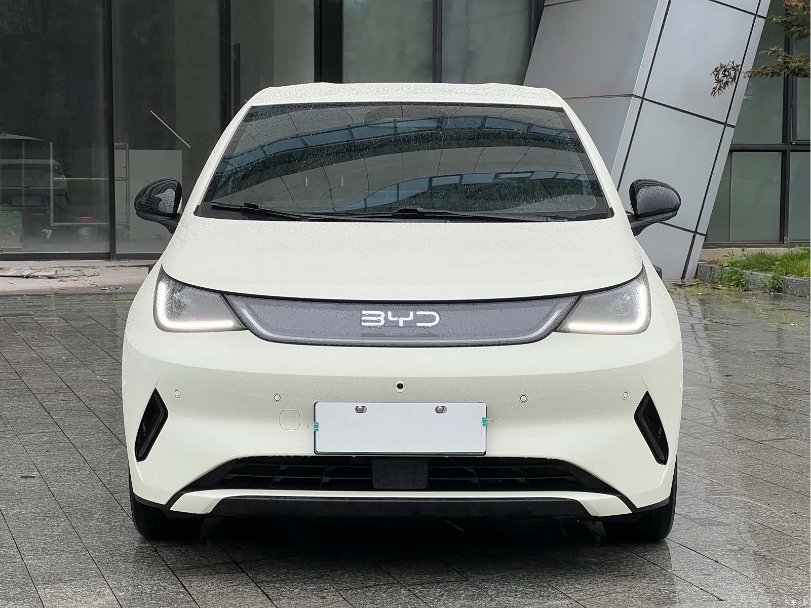 BYD Dolphin, 2025 2