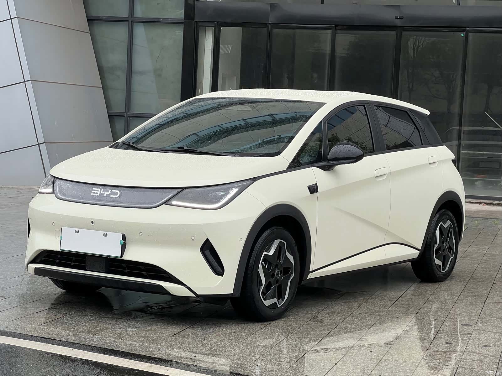BYD Dolphin, 2025 1