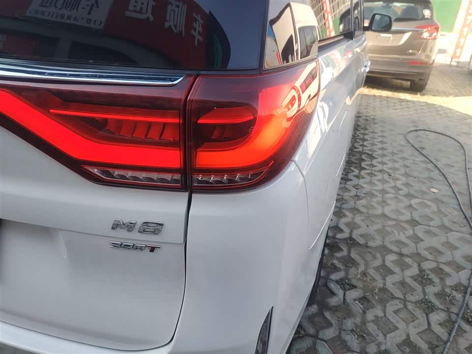 Trumpchi Trumpchi M8