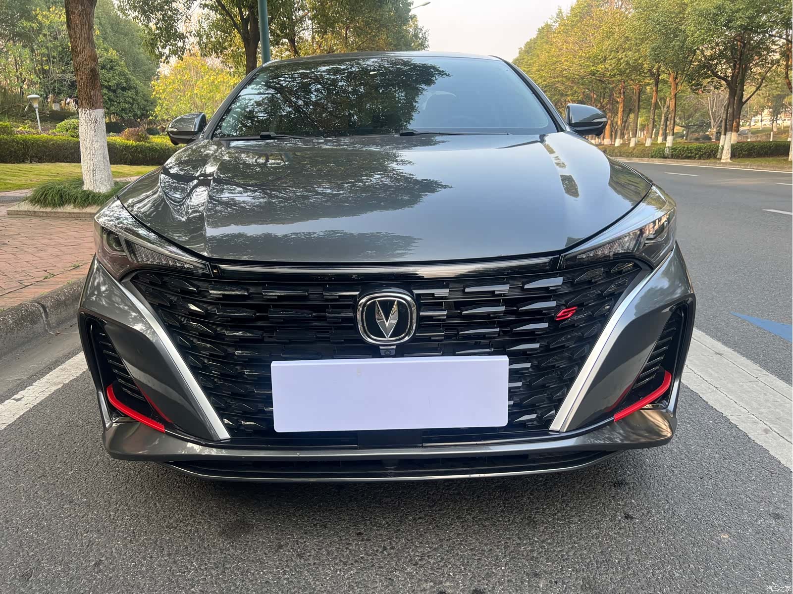 Changan Eado, 2023 2