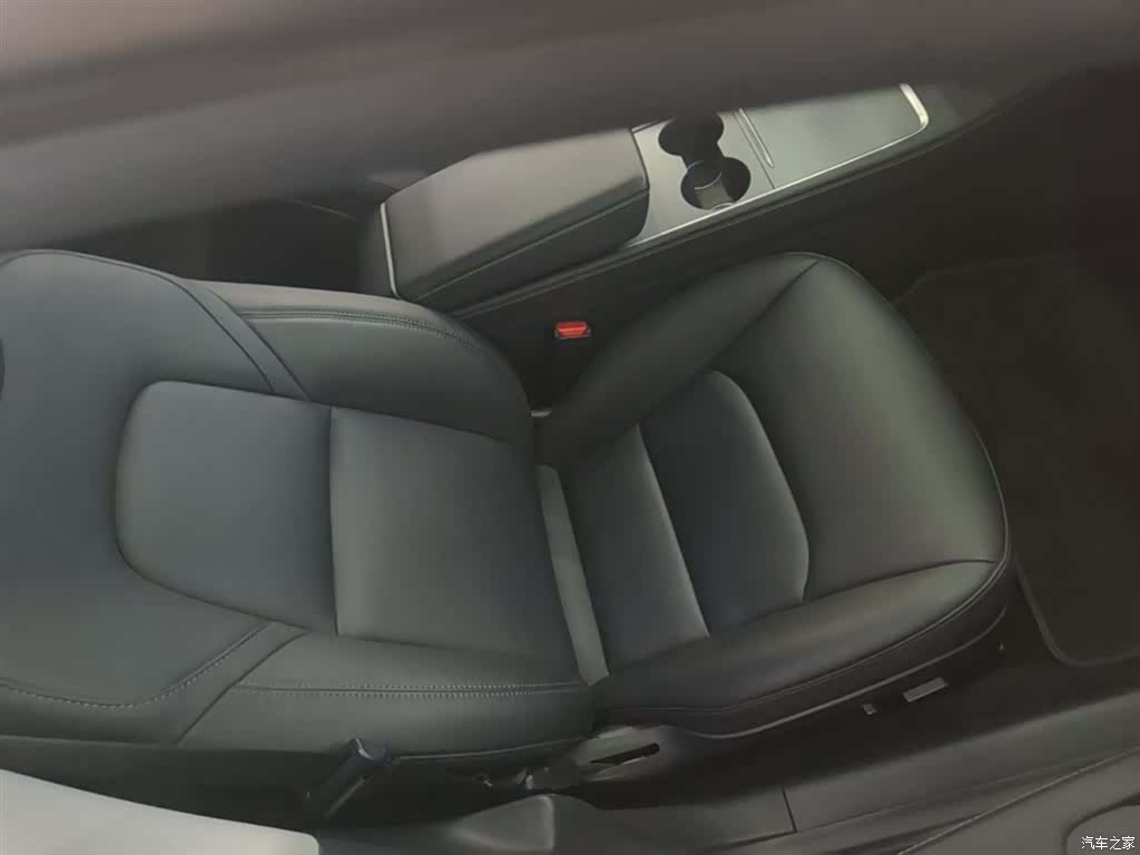 Tesla Model 3, 2021 25