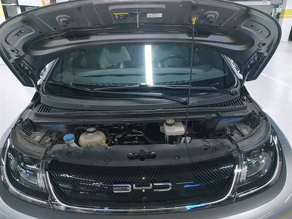 BYD dolphin BYD dolphin
