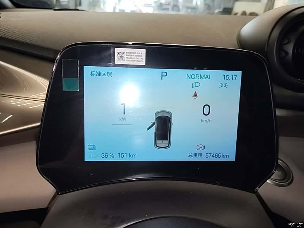 BYD Dolphin, 2024 12