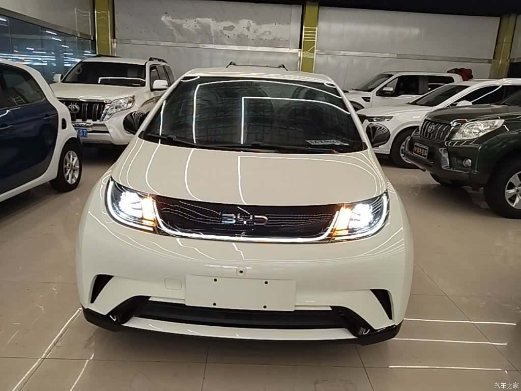 BYD Dolphin, 2024 3