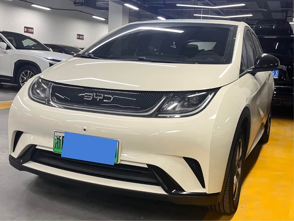 BYD dolphin