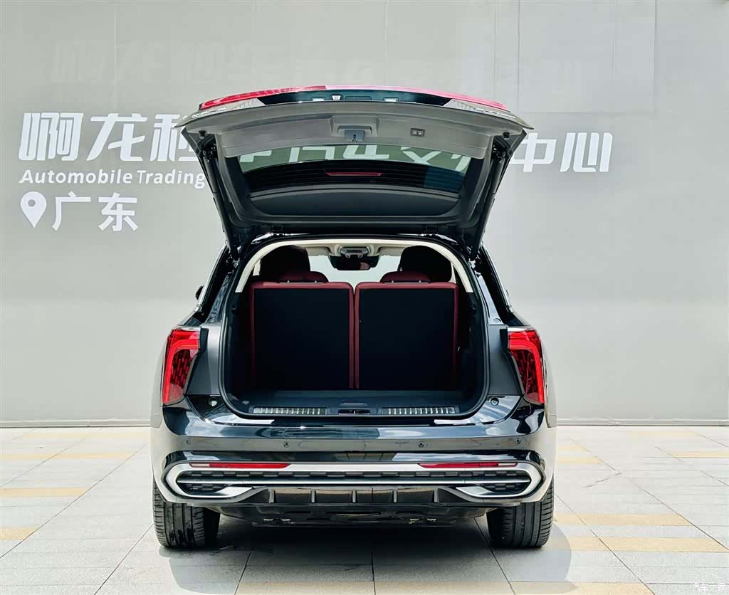 Hongqi E-HS9, 2023 17