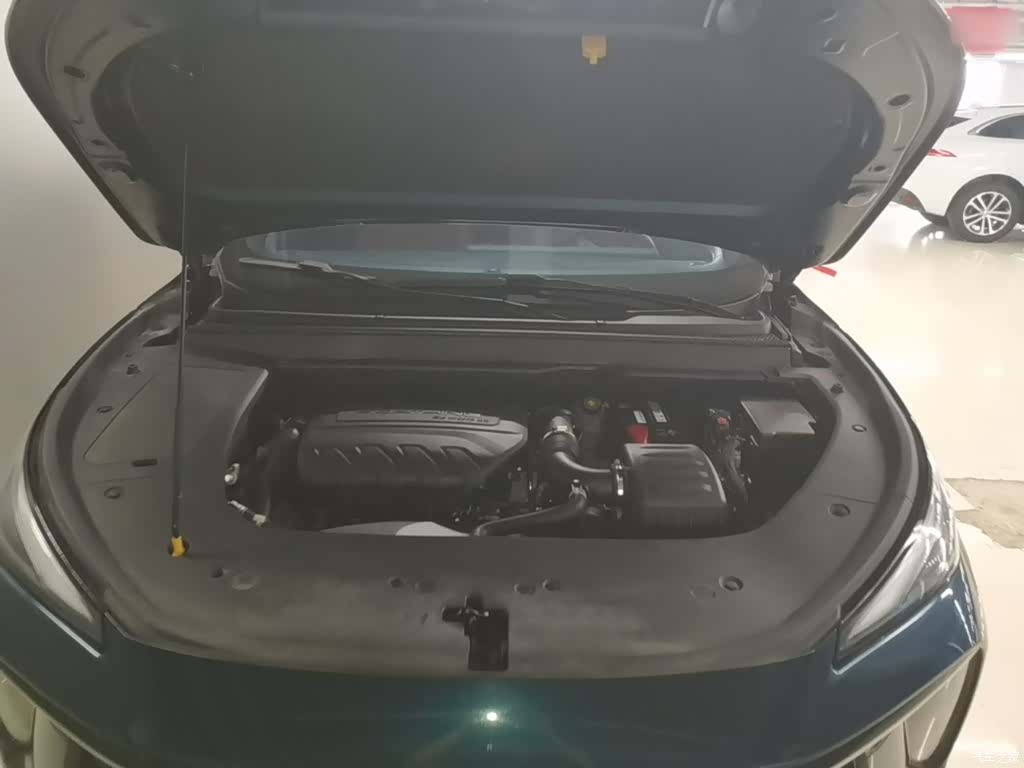 DongFeng T5, 2021 20