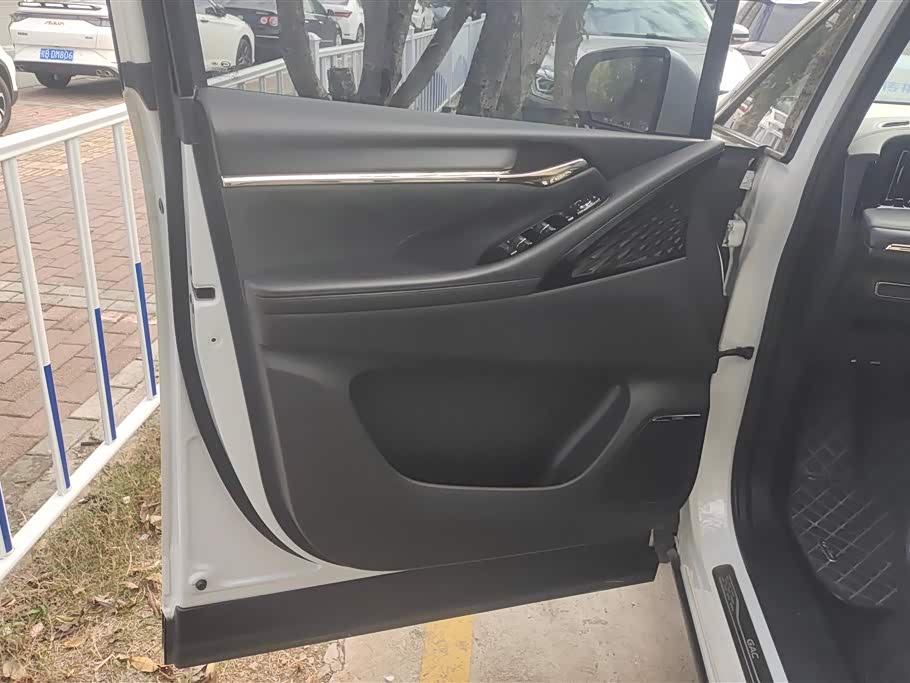 Trumpchi Trumpchi E9