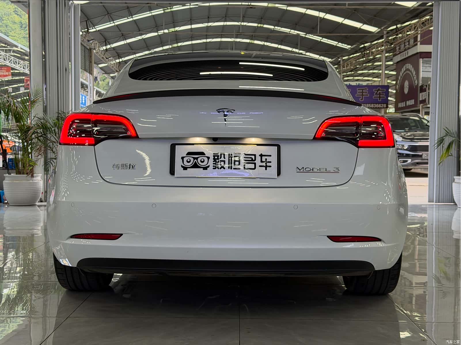 Tesla Model 3, 2021 9
